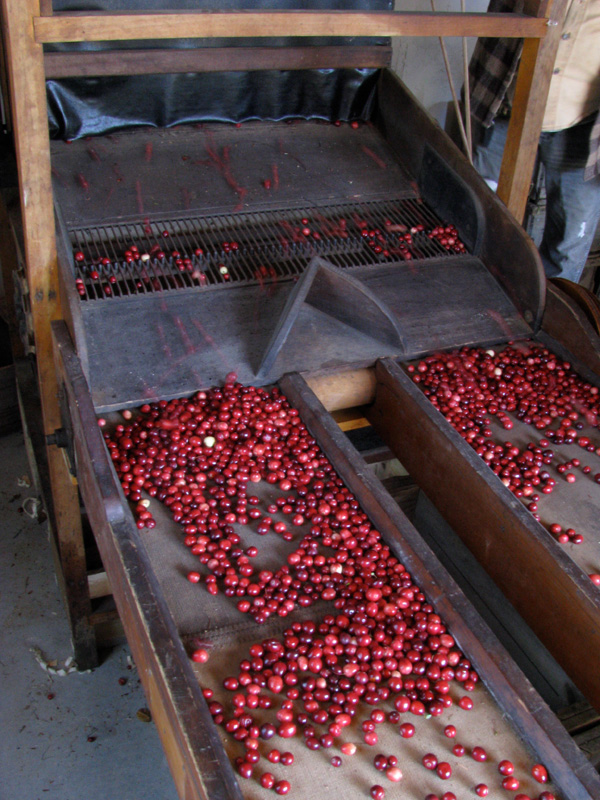 Sorting Machine October 2014 IMG_2616