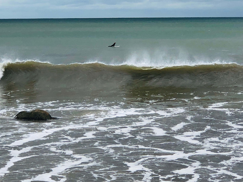 Squibnocket_surfer