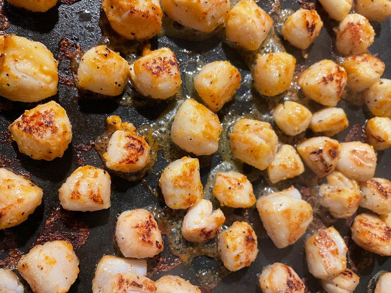 scallop5.jpg