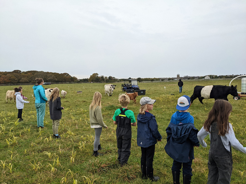 Super-Silos-moving-cows-to-new-pasture.jpg