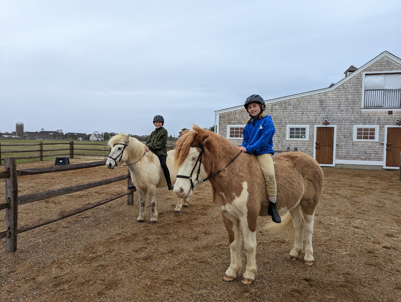 Wren-Robertson-Leona-Maloney-horses-Slough-Farm.jpg