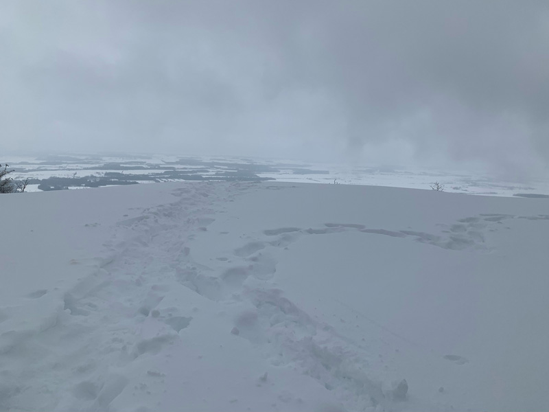 One could only see some farmland from the clouded summit of Snake Mountain.