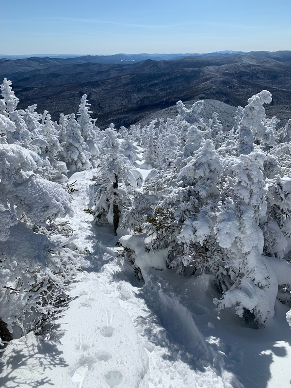 Summit of Mt. Abraham trail.jpg