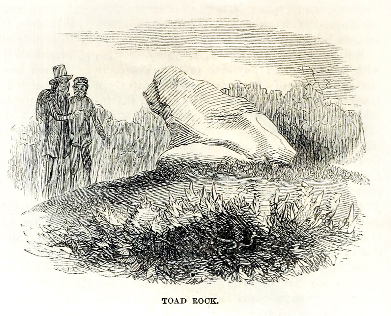 282b-Jane-Wormsley-Toad-Rock.jpg