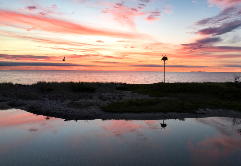 Harthaven-Sunrise.jpg