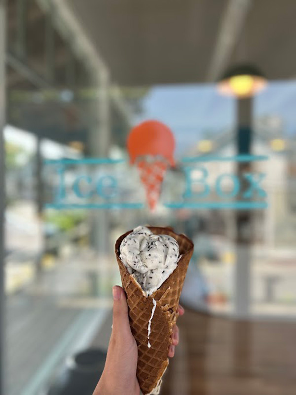 A cone of toasted coconut ice cream.