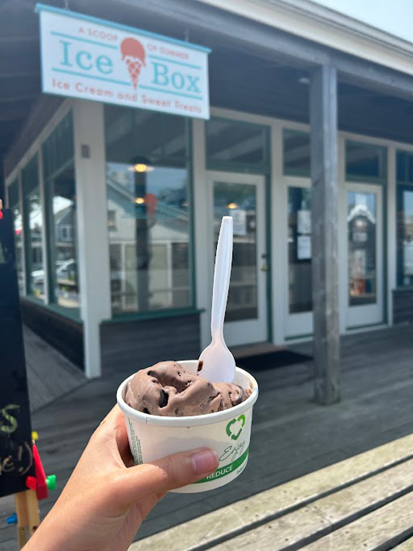 A cup of chocolate lover’s chocolate ice cream.