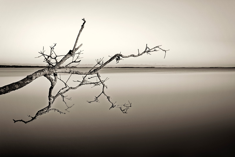 LongReach-TisburyGreatPond.jpg