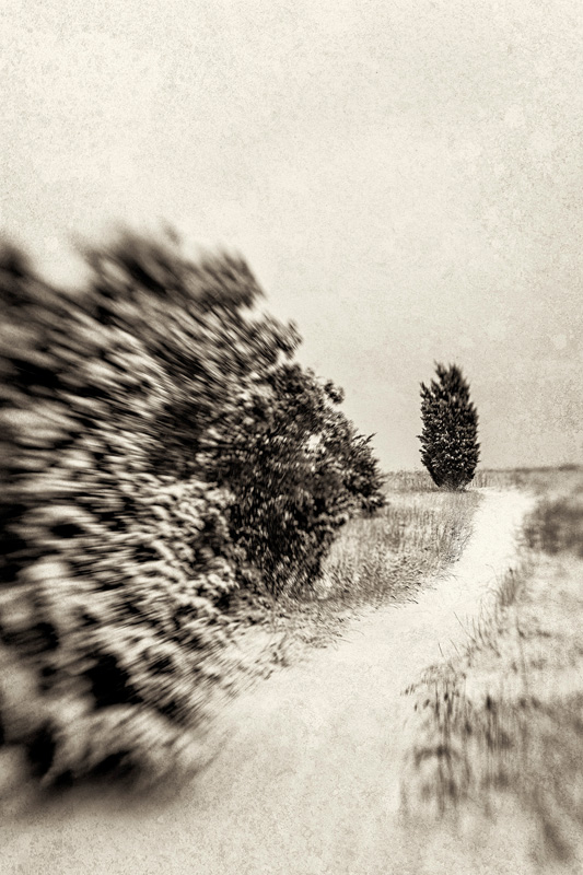 SnowyTrail-NatsFarm.jpg