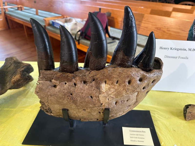 Fossil-day-tRex-ob-library.jpg