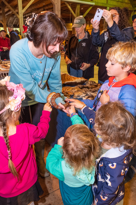 Harvest Festival -2368.jpg