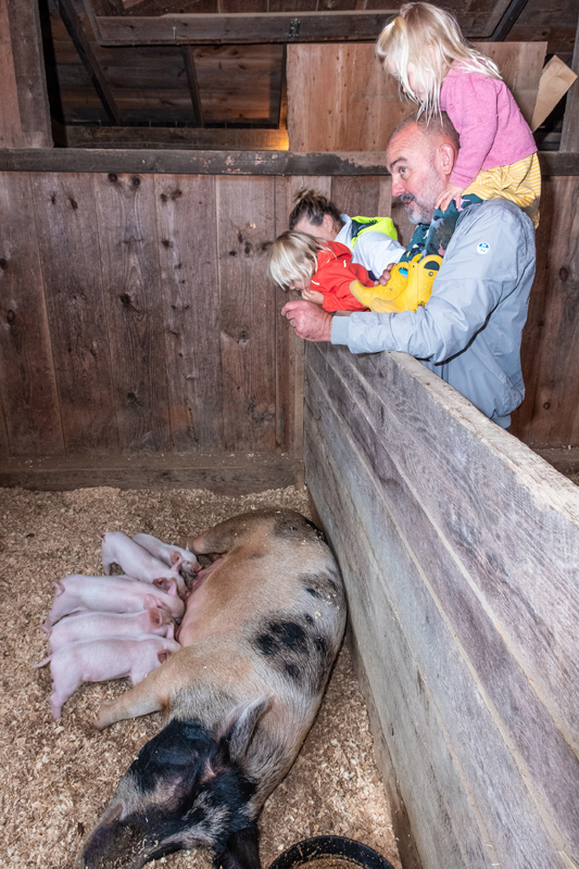 Harvest Festival -2462.jpg