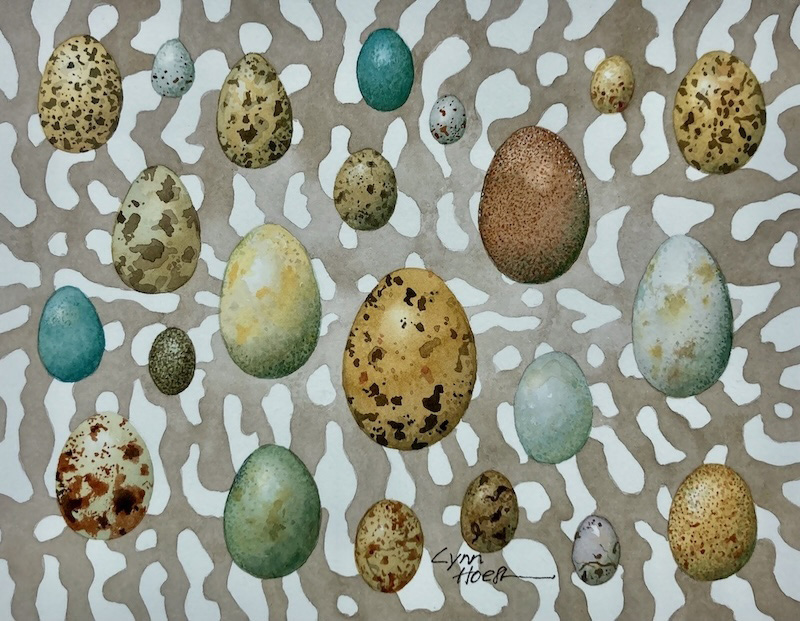Twosisters_Island-Eggs_Hoeft.jpg