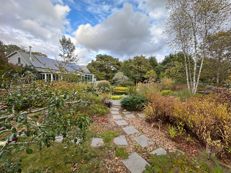 The rewilded landscape at the Malin-Bloomquist home.