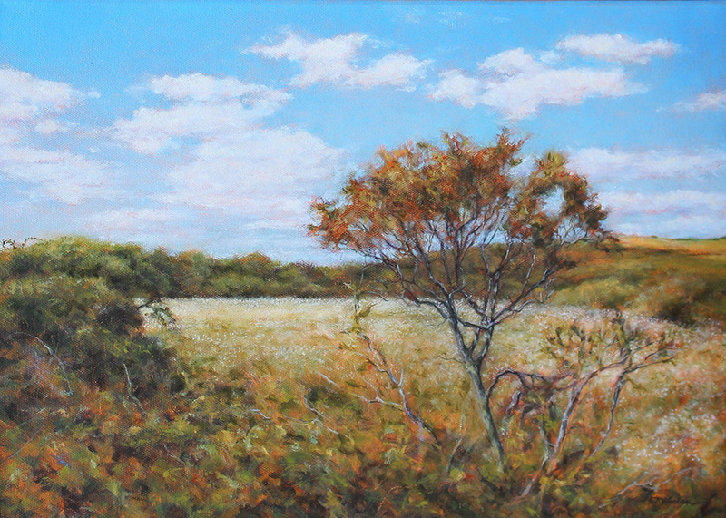 Field_of_Dreams_artist_Elizabeth_R_Whelan.jpg