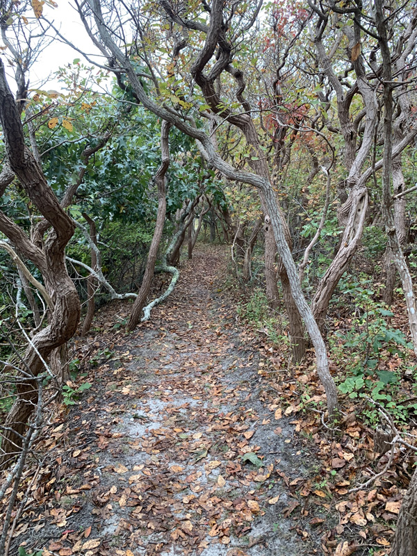 On-my-way-2.jpg