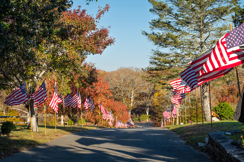 The American flags line the streets of the Oak Grove Cemetery.
