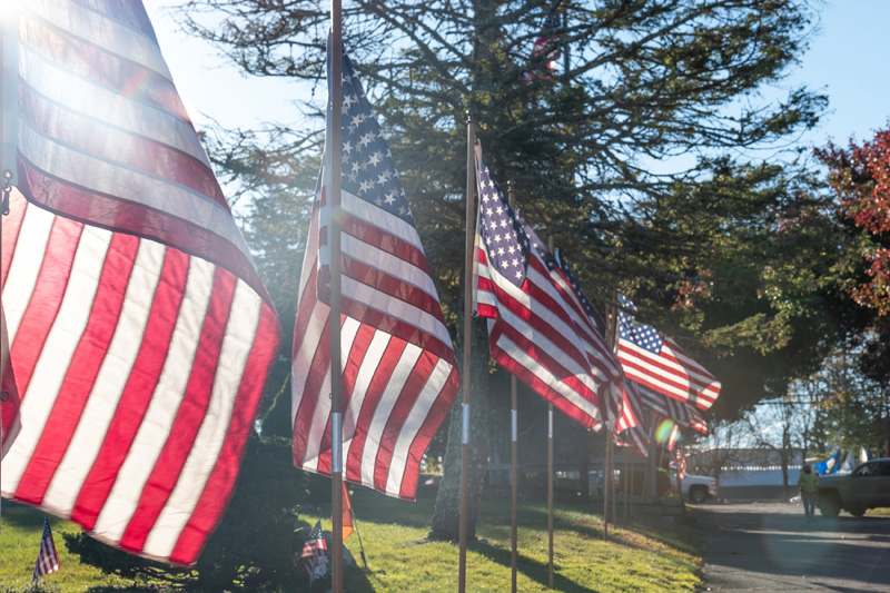 The morning light illuminates the American flags.