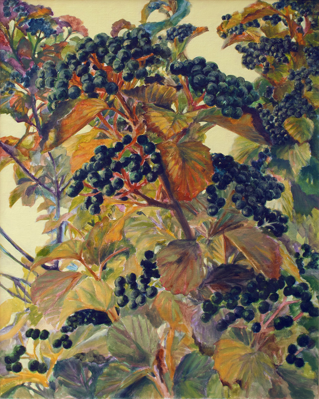 elderberries_artist_elizabeth_r_whelan.jpg