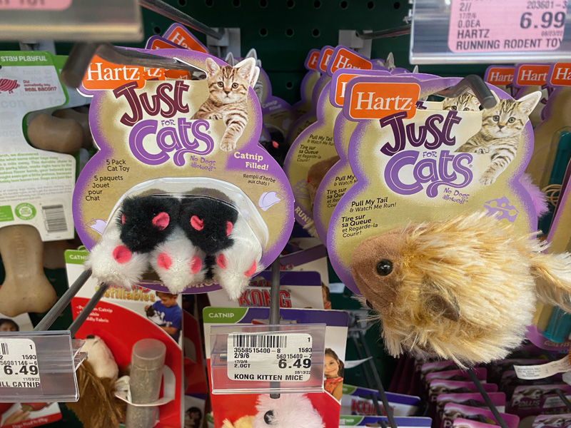 healthy-additions-toys-cats-2.jpg