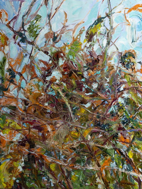 tangle_vines_artist_elizabeth_r_whelan.jpg