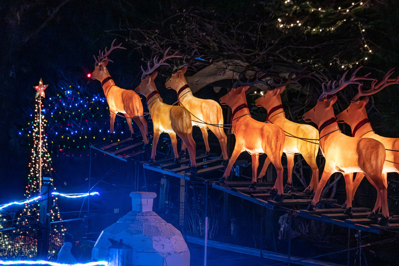 Holiday-lights-bus-tour-58.jpg