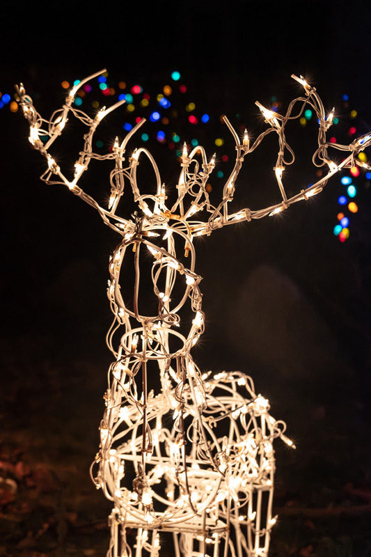 Holiday-lights-bus-tour-60.jpg