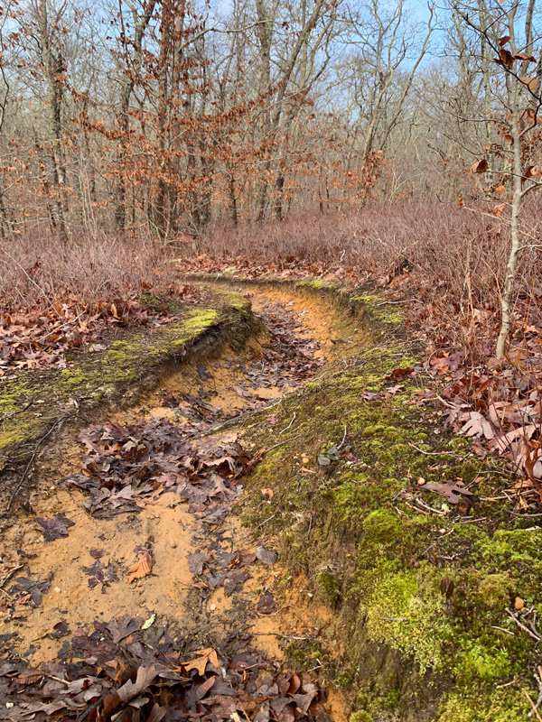 The Brookside Ridge trail was scoured deep in places.