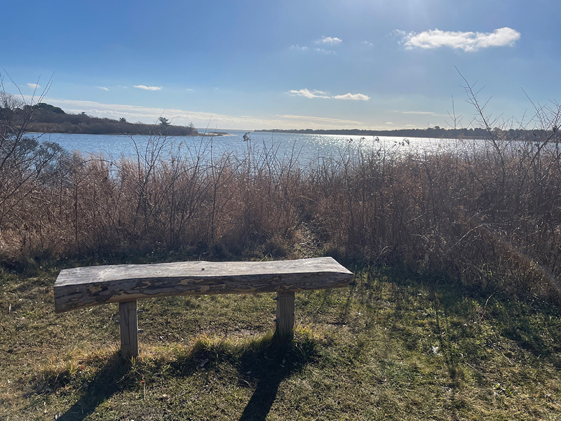 Resting bench overlooking Tisbury Great Pond.
