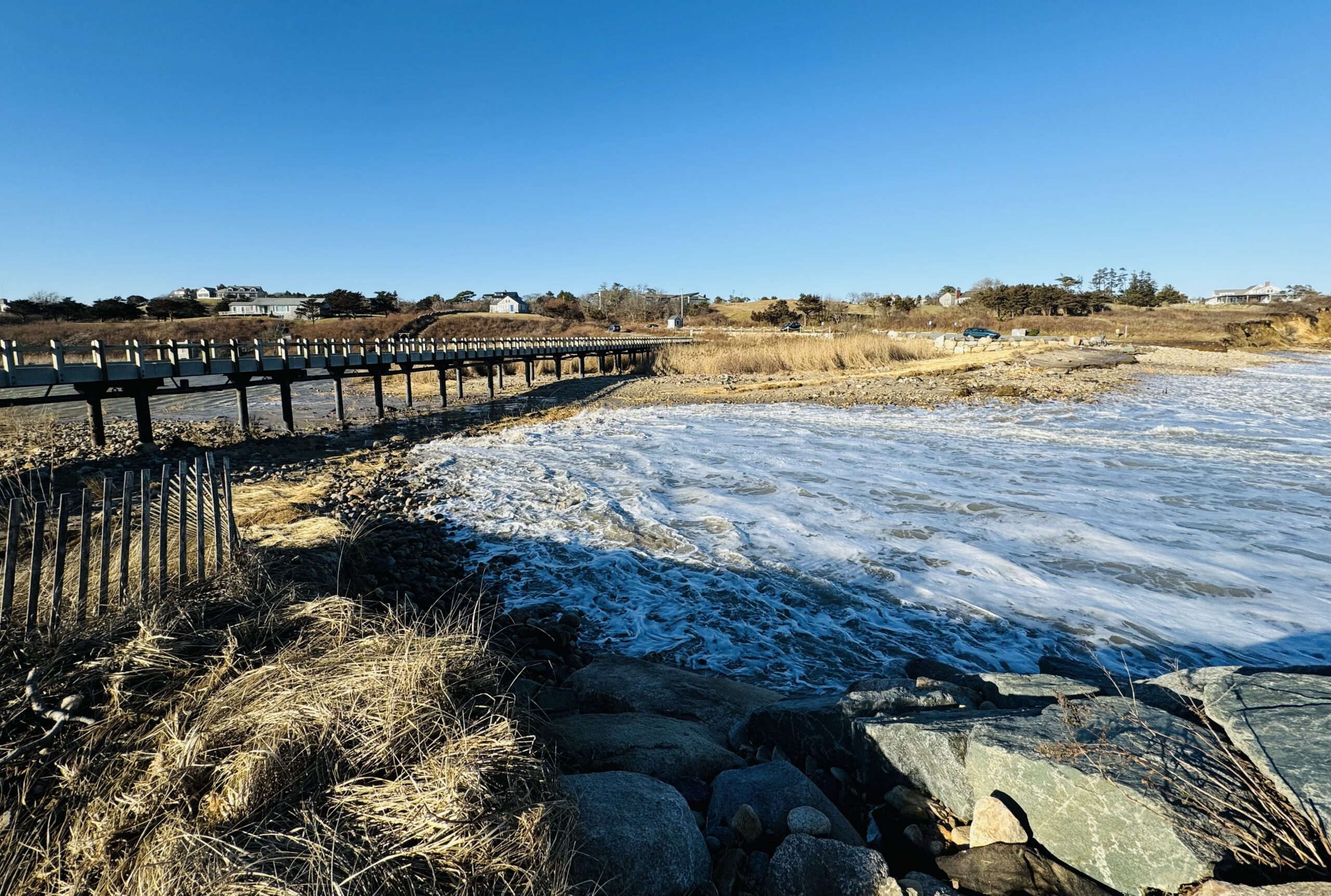 Image_20240110_152048_811