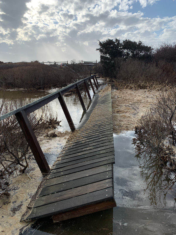 storm-footbridge.jpg