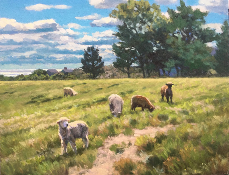 MarjorieMasonChilmarkSheep-1