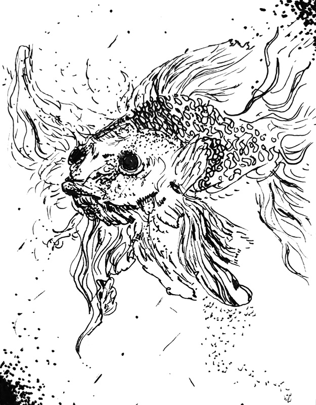 Olivia MacPherson_Fish copy
