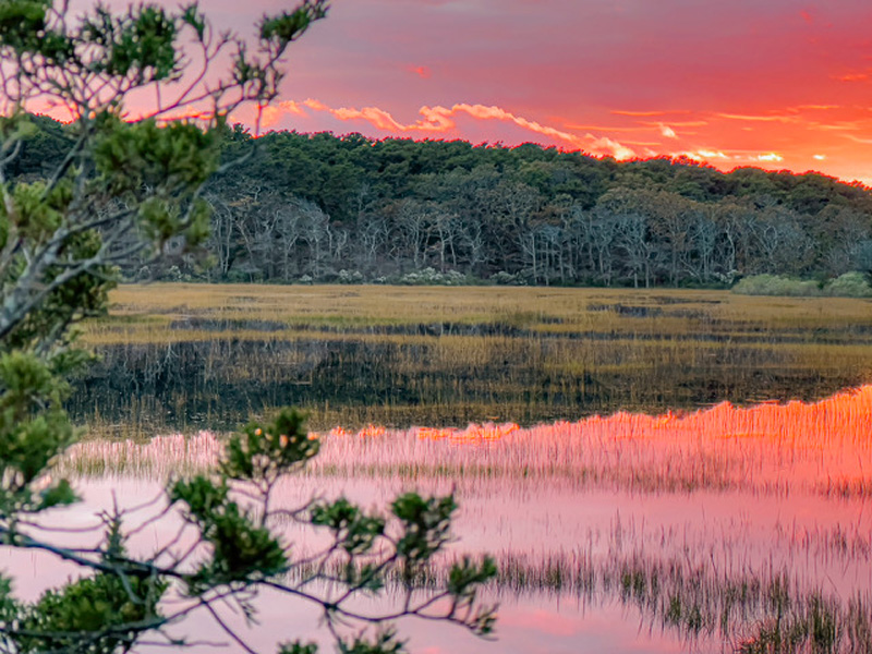 Sengie-Sunset-L-A-Brown.jpg