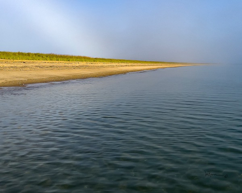 swim-Brown.jpg