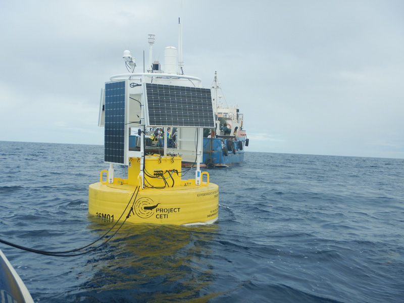 The study’s whale listening station