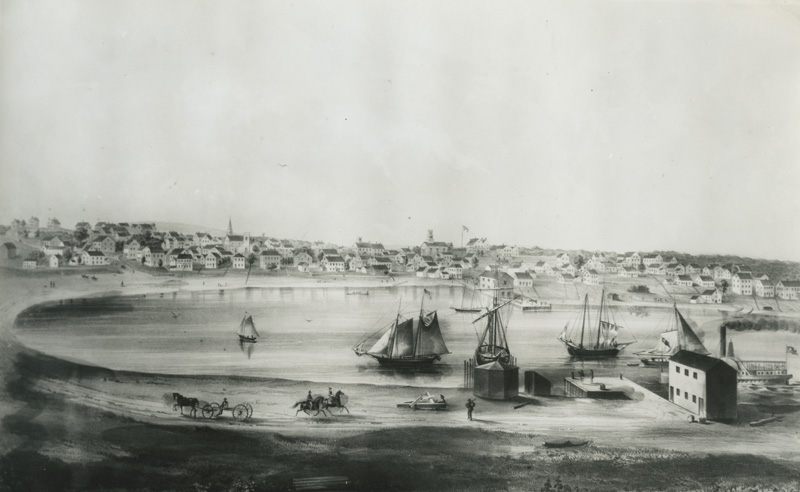 ViewOfTheVillageOfHolmesHole_WilliamSturtevant_1856.jpg