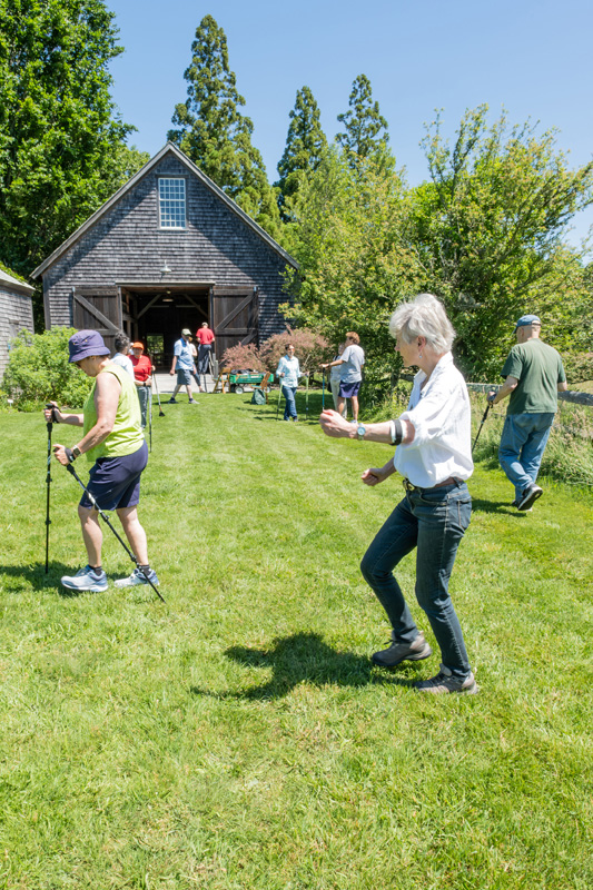 Walking Poles Polly Hill-12-2.jpg