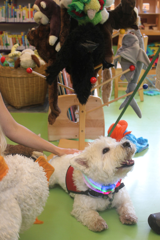 Dog_Therapy_9.jpg