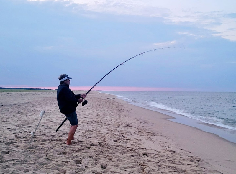 Shark on! Ron Domurat lets a shark run on a gorgeous summer night.