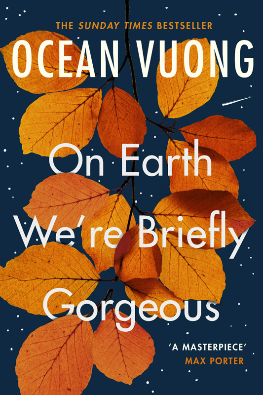 book-earth-briefly-gorgeous.jpg