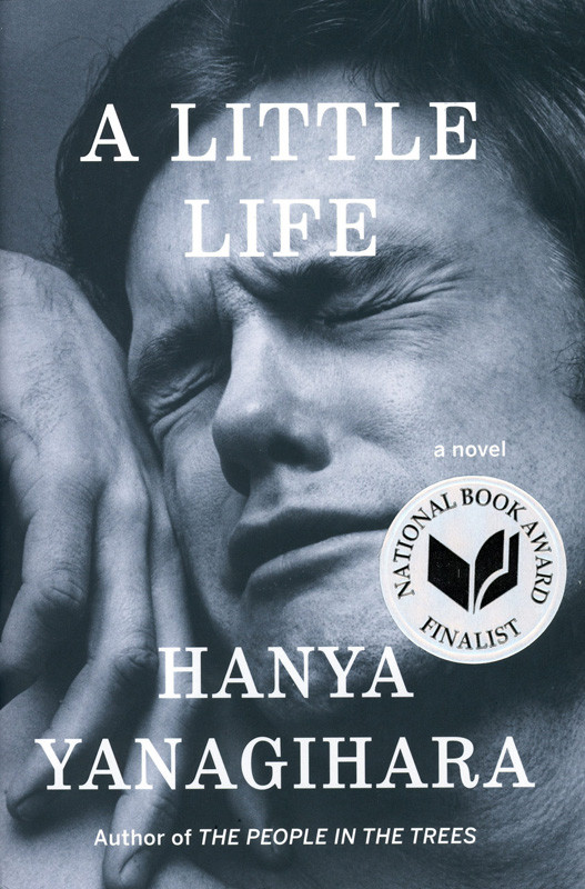 book-little-life.jpg
