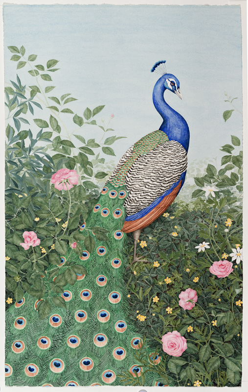 1.Peacock_with_Red_Roses_2024_26x42in-2-Pano.jpg
