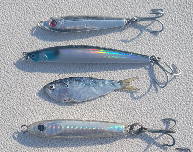 Fishing_2