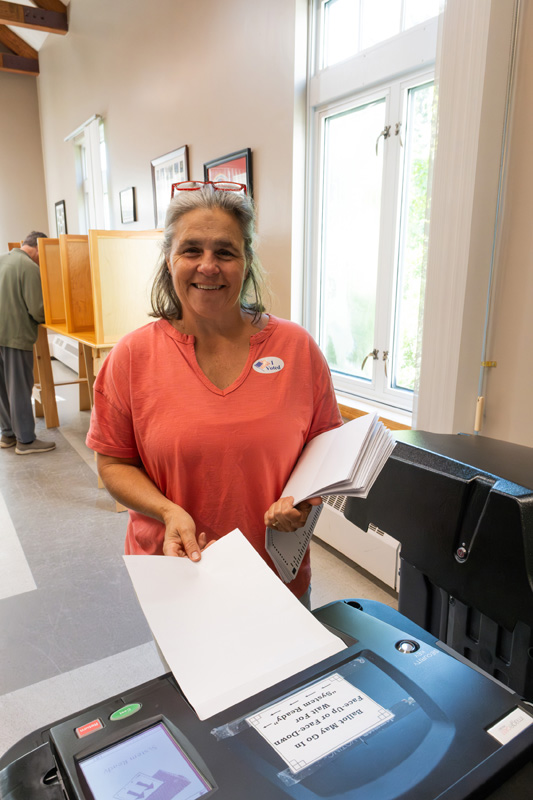 Primary_election_5
