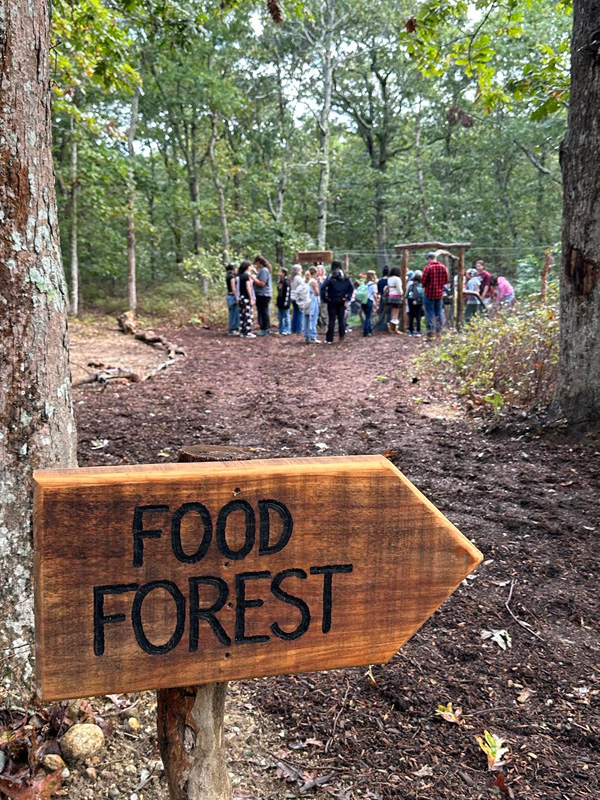 Food_Forest_2.jpg