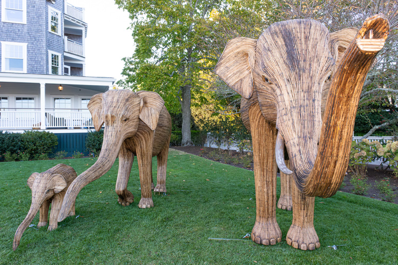 Harbor_View_Elephants_14.jpg