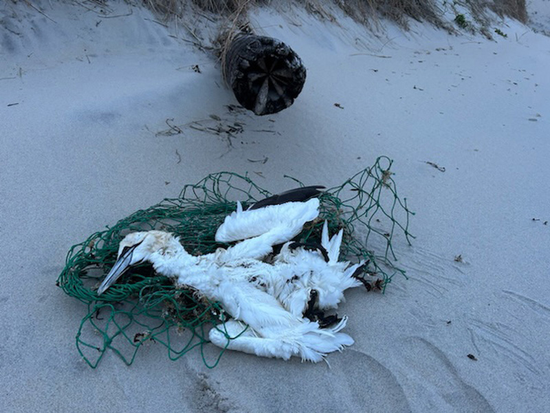 6-beach.jpg