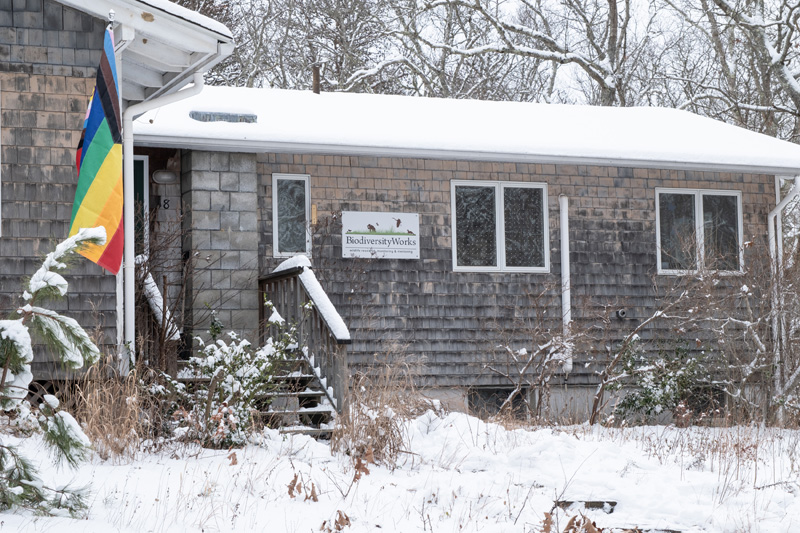 Liz_Olson_BiodiversityWorks_evergreen_13.jpg