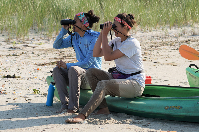 Liz_Olson_BiodiversityWorks_evergreen_14.jpg